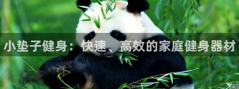 富联平台是什么平台:小垫子健身:快速、高效的家庭健身器材