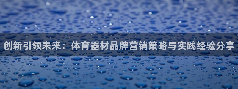 富联申购可以赚多少钱:创新引领未来:体育器材品牌营销策略与实