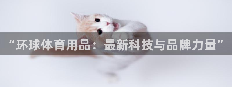 富联平台系 5O6917 富联:“环球体育用品:最新科技与品